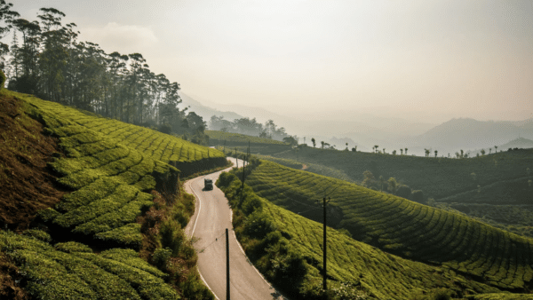 Tour code S059: Beautiful Kerala Tour